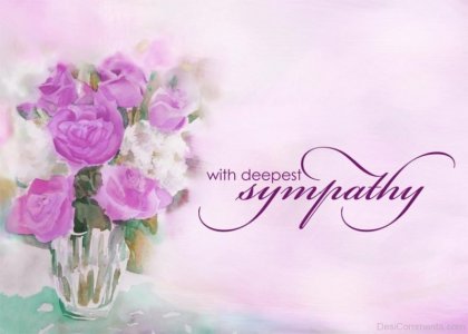 Sympathy Purple roses.jpg