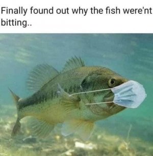 IMG_6328.jpeg