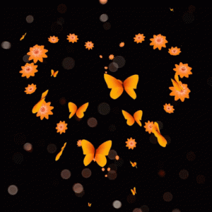 4d1b37d4f5a68ba3c5893fbbac0e4665[1].gif
