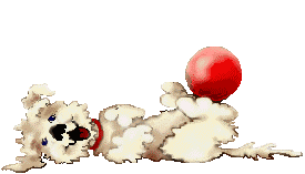 dog ball.gif