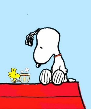 morning coffee.jpg