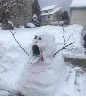 snowbox.jpg