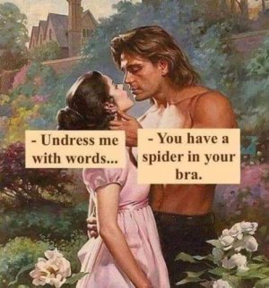 undress.jpg