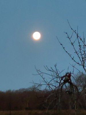 20240126_074413.jpg