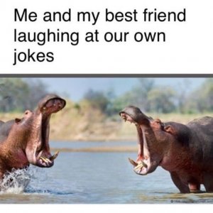 laughingatourjokes.jpg