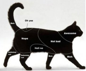 cat-petting-chart.jpg