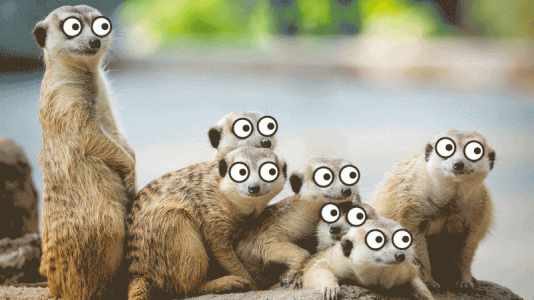 source-3997993206.gif