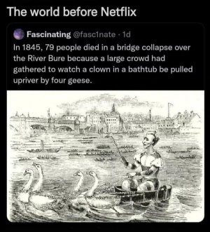 IMG_6362.jpeg