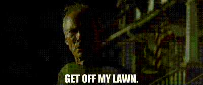 IMG_4443.gif