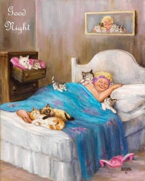 catlady.jpg