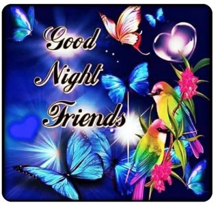 good night fr.jpg