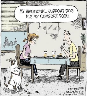 supportdog.jpg