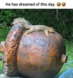 animal3.jpg