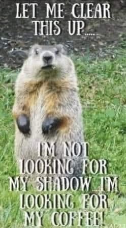 groundhog coffee.jpg