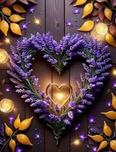 FB_IMG_1706568076294.jpg
