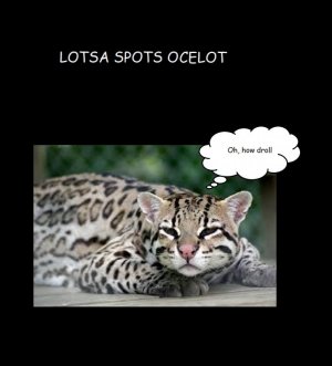 ocelot.jpg