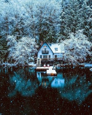 tumblr_14476ed642bfc2459d774124ae2a1a42_e7ac594e_640.jpg