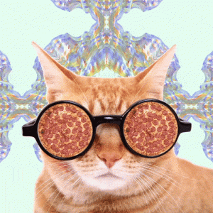 f7bc8353e55e1243953a12ed028aa202-1.gif