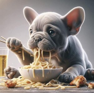 dogspaghetti.jpg
