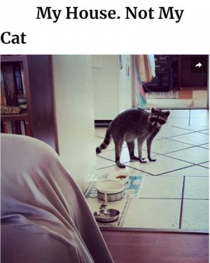 received_1039857877082559.jpeg