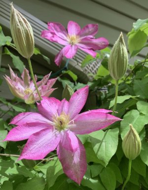 IMG_1055.jpeg