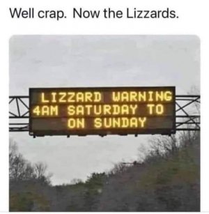 425004320_925150789230220_2289427602635237548_n.jpg
