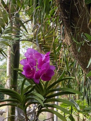 IMG_2393.jpg IMG_2393.jpg