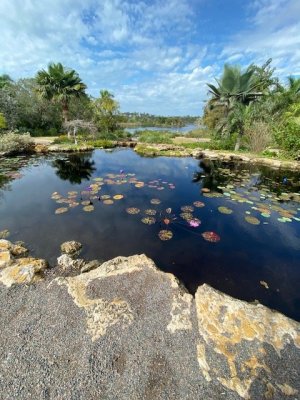 IMG_2395.jpg IMG_2395.jpg