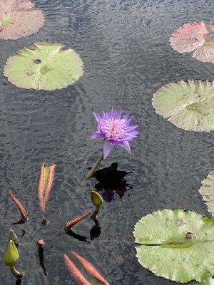 IMG_2397.jpg IMG_2397.jpg