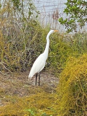 IMG_2403.jpg IMG_2403.jpg