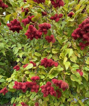 IMG_2404.jpg IMG_2404.jpg