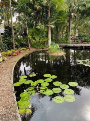 IMG_2410.jpg IMG_2410.jpg