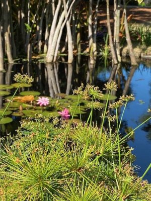 IMG_2412.jpg IMG_2412.jpg