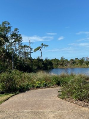 IMG_2415.jpg IMG_2415.jpg