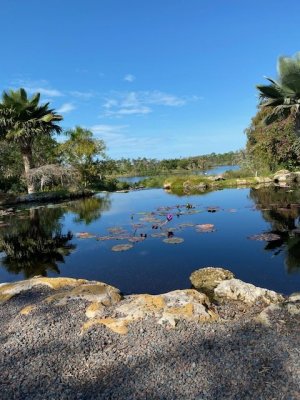 IMG_2416.jpg IMG_2416.jpg