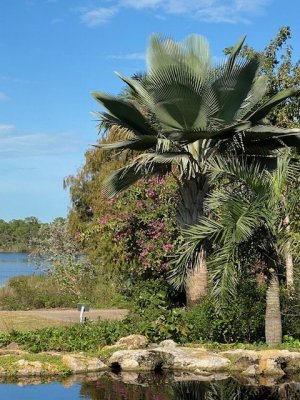 IMG_2417.jpg IMG_2417.jpg