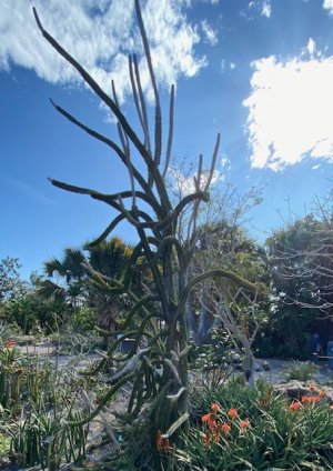 IMG_2418.jpg IMG_2418.jpg