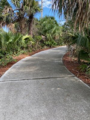 IMG_2419.jpg IMG_2419.jpg