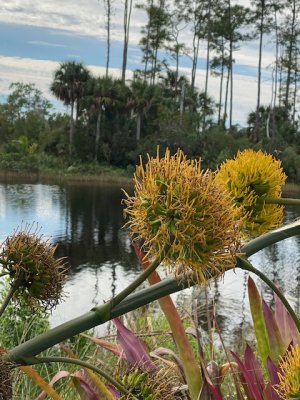 IMG_2428.JPG IMG_2428.JPG