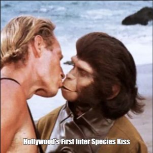 apes1.jpg
