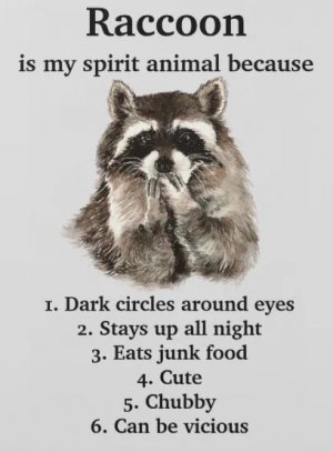 racoonspirit.jpg