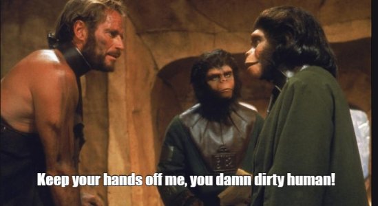 apes4.jpg