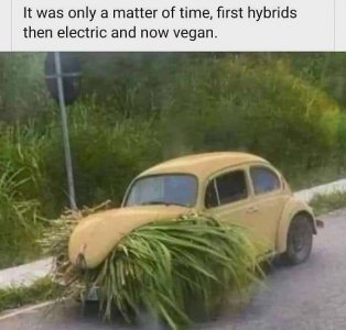 vegan.jpg