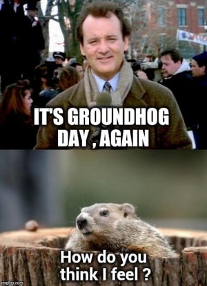 groundhog-day-meme-funny.jpg