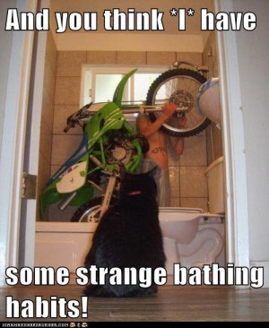 1706884873586.jpeg
