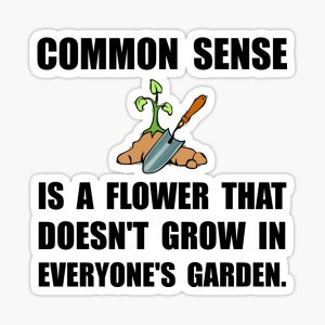 commonsense.jpg