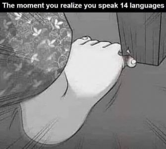 IMG_6426.jpeg