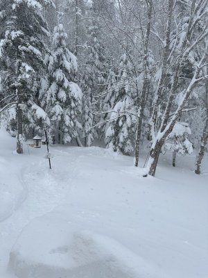 IMG_3707.jpeg