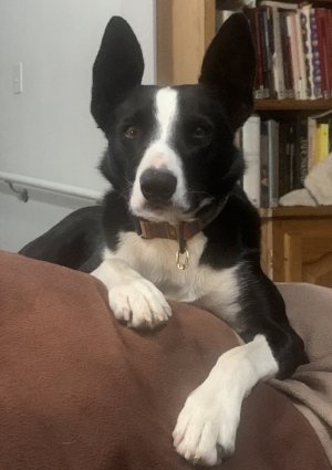 1707084364378.jpeg
