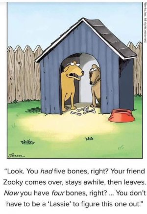 Bones.jpg